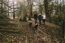 family%20and%20dog%20walking%20in%20forest.jpg